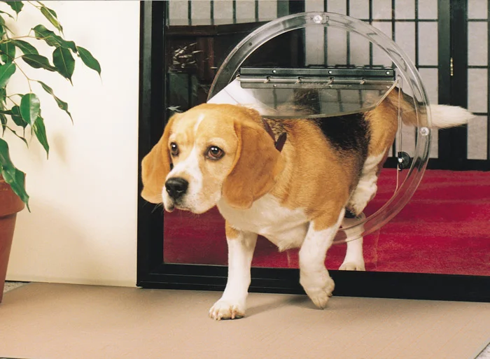 Dog walking comfortably through a correctly sized pet door fitted into glass