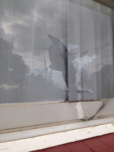 Glass Replacement Elizabeth